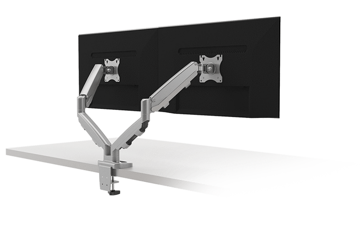 ESI Monitor Arms ESI Eppa2
