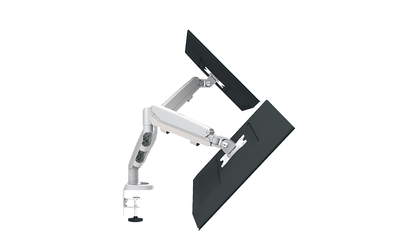 ESI Monitor Arms ESI Eppa2