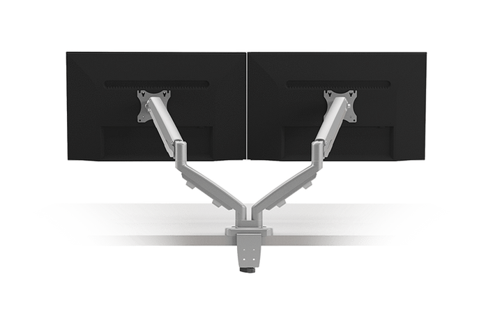 ESI Monitor Arms ESI Eppa2
