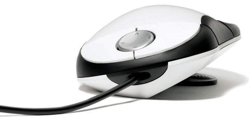 Standard Mouse