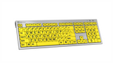 LogicKeyboard Large Print Slimline Keyboard for PC | 4 Colors