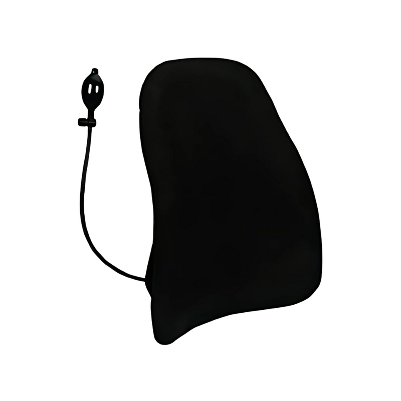 OBUS FORME CustomAIR Lumbar Support | Adjustable Air Back Cushion