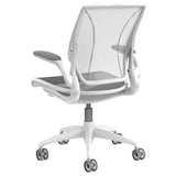 Humanscale Diffrient World Chair | Self-Adjusting Ergonomic Office