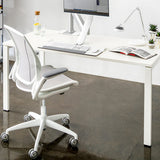 Humanscale Diffrient World Chair | Self-Adjusting Ergonomic Office