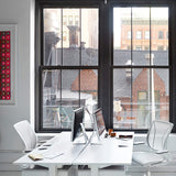 Humanscale Diffrient World Chair | Self-Adjusting Ergonomic Office
