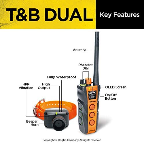 Dogtra T&B Dual Dial 1-Dog Training & Beeper Remote Training E-Collar for Upland Hunters - 1.5-Mile Range, Rechargeable, Waterproof - Plus 1 iClick Training Card, Jestik Click Trainer - Value Bundle