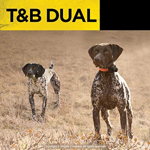 Dogtra T&B Dual Dial 2-Dog Training & Beeper Remote Training E-Collar for Upland Hunters - 1.5-Mile Range, Rechargeable, Waterproof - Plus 1 iClick Training Card, Jestik Click Trainer - Value Bundle