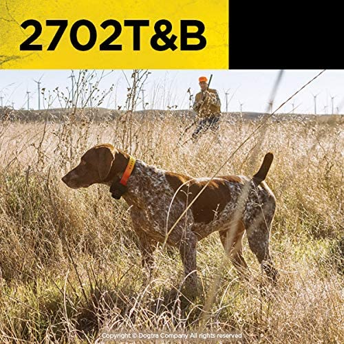 Dogtra 2702T&B Two Dogs Remote Training and Beeper Collar - 1 Mile Range, Rechargeable, Waterproof - Plus 1 iClick Training Card, Jestik Click Trainer - Value Bundle