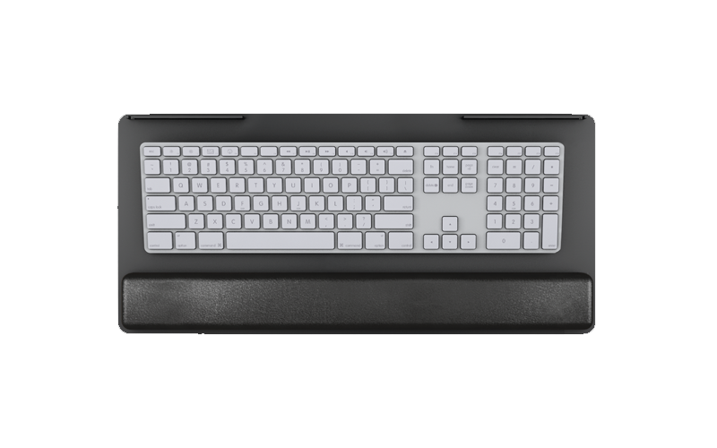 ESI PL003-19