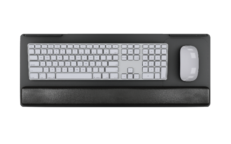 ESI PL003-25