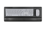 ESI PL003-25