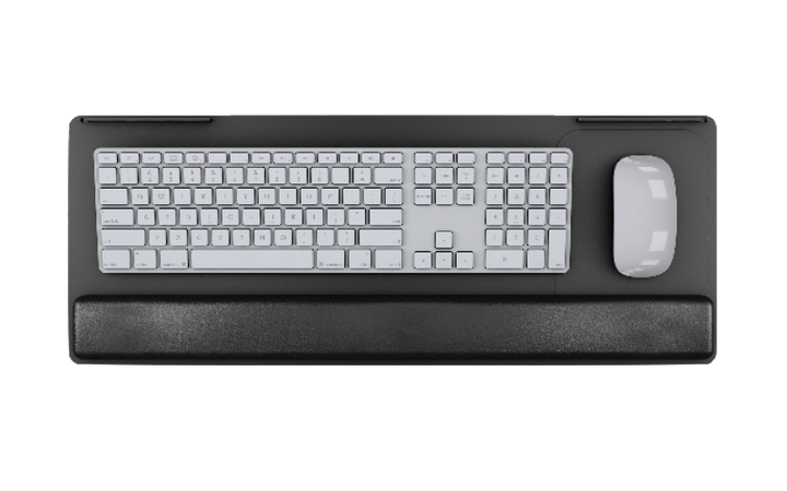 ESI PL003-25