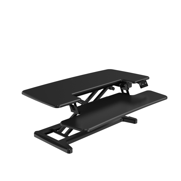 FlexiSpot Motorized Electric Standing Desk