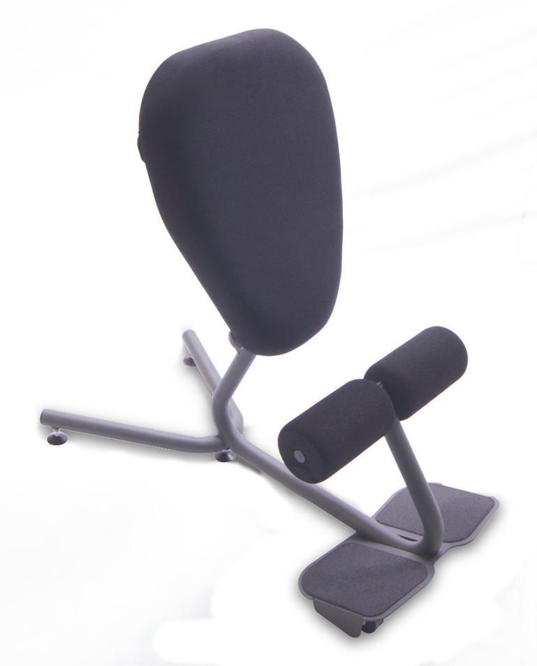 HealthPostures Sit-Stand Chair HealthPostures 5000 Stance Move Sit-Stand Chair