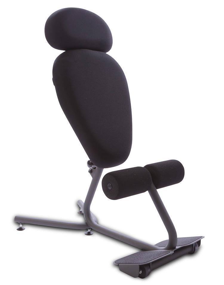 HealthPostures Sit-Stand Chair HealthPostures 5050 Stance Move Sit-Stand Chair EXT