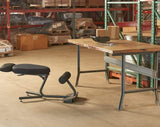 HealthPostures Sit-Stand Chair HealthPostures 5050 Stance Move Sit-Stand Chair EXT