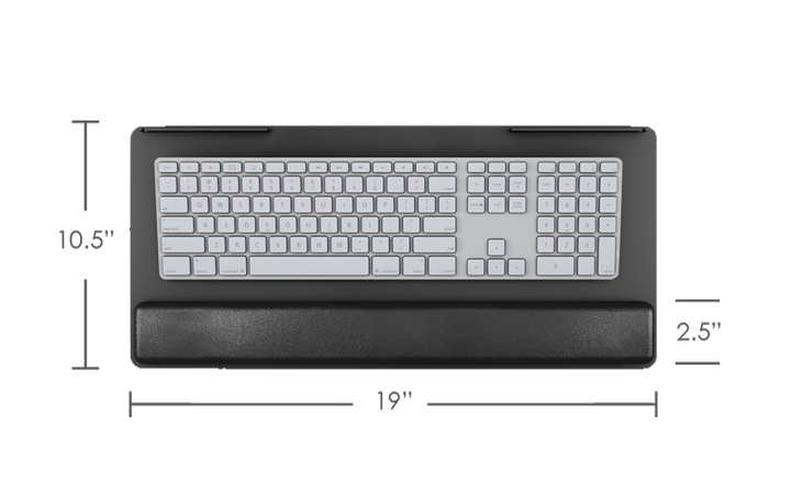 ESI PL003-19
