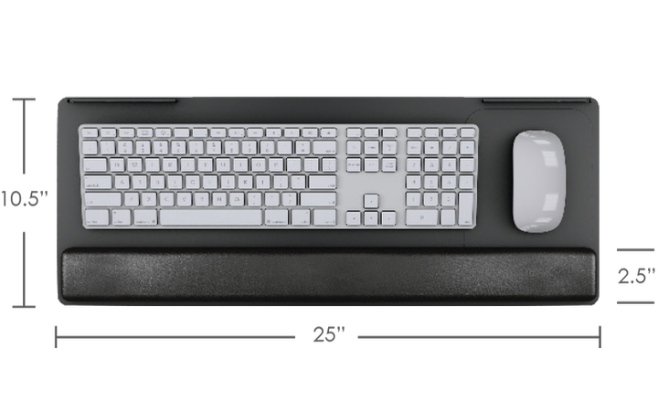 ESI PL003-25